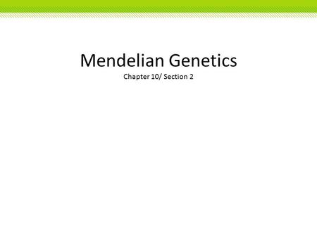 Mendelian Genetics Chapter 10/ Section 2. Mendelian Genetics Copyright © McGraw-Hill Education Gregor Mendel: The Father of Genetics The passing of traits.