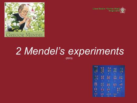 2 Mendel’s experiments (2015). Genetics is a biological discipline that studies: the transmission of traits from one generation to the next gene distribution,