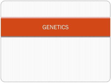 GENETICS. Nicotiana Prediction % Green _______ % Yellow _______.