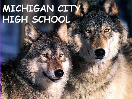 MICHIGAN CITY HIGH SCHOOL. Michigan City High School - VISION Excellence for Everyone.