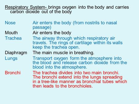 Respiratory System- brings oxygen into the body and carries carbon dioxide out of the body Nose Air enters the body (from nostrils to nasal passage) Mouth.