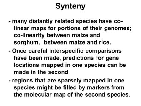 Synteny - many distantly related species have co- linear maps for portions of their genomes; co-linearity between maize and sorghum, between maize and.