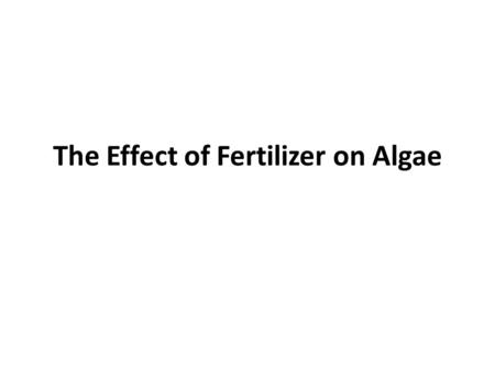 The Effect of Fertilizer on Algae
