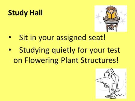 Study Hall Sit in your assigned seat! Studying quietly for your test on Flowering Plant Structures!