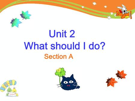 Unit 2 What should I do? Section A. What’s the matter? She has a toothache. She should see a dentist. What should she do? He has a fever. He should drink.