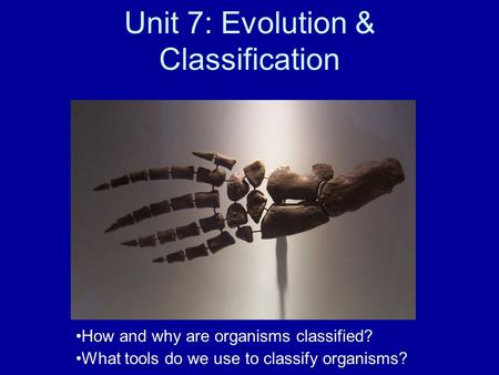 Unit 7: Evolution & Classification How and why are organisms classified? What tools do we use to classify organisms?