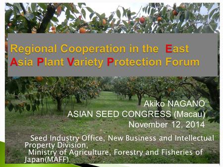 Akiko NAGANO ASIAN SEED CONGRESS (Macau) November 12, 2014 Seed Industry Office, New Business and Intellectual Property Division, Ministry of Agriculture,