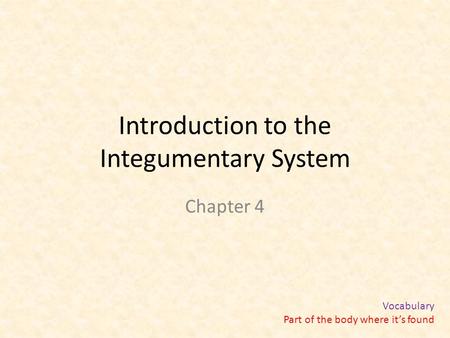 Introduction to the Integumentary System Chapter 4 Vocabulary Part of the body where it’s found.