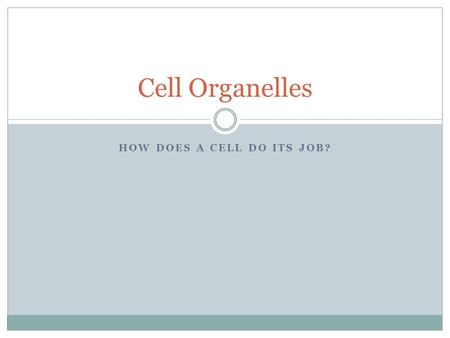 HOW DOES A CELL DO ITS JOB? Cell Organelles. What jobs do cells do? Some examples:  Making proteins, like keratin (hair follicles)  Sending signals.