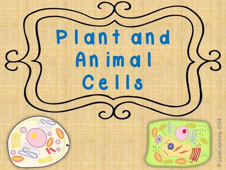 Plants and Animals Plants and animals are made up of millions and millions of tiny parts called cells © LoveLearning 2014.