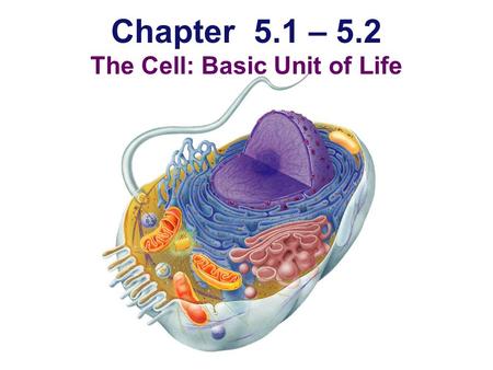 Chapter 5.1 – 5.2 The Cell: Basic Unit of Life Why do we study cells?