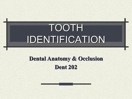 Dental Anatomy & Occlusion Dent 202