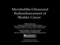 Microbubble-Ultrasound Radioenhancement of Bladder Cancer William Tyler Tran Radiation Therapist & Clinical Research Associate Department of Radiation.