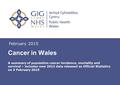 Insert name of presentation on Master Slide February 2015 Cancer in Wales A summary of population cancer incidence, mortality and survival – includes new.