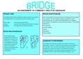 AN ASSESSMENT OF COMMUNITY HEALTH IN CRAIGAVON PROJECT AIMS The Bridge project aimed to assess the health and social care needs of individuals residing.
