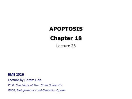 APOPTOSIS Chapter 18 Lecture 23 BMB 252H Lecture by Garam Han