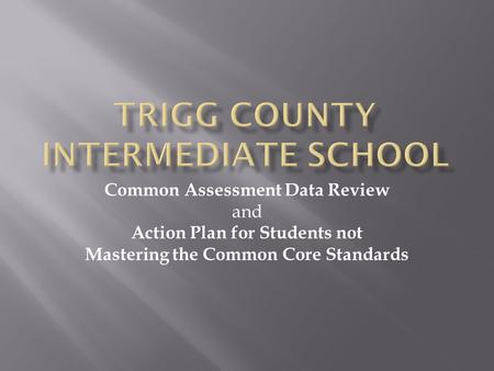 Common Assessment Data Review and Action Plan for Students not Mastering the Common Core Standards.