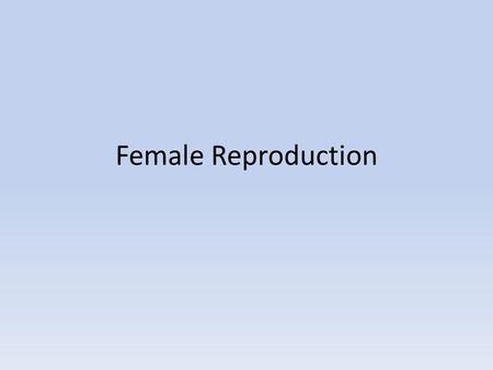 Female Reproduction. Do Now: What is the Vulva? Female External Genitals What are some positive and negative stereotypes of the vulva? Uglysexual Dirty.