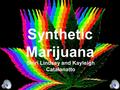 Synthetic Marijuana Shiri Lindsey and Kayleigh Catalanatto.