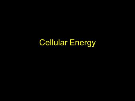 Cellular Energy. Why do you get hungry? Feeling hungry is your body’s way of telling you your cells need energy. All cells need a constant supply energy.