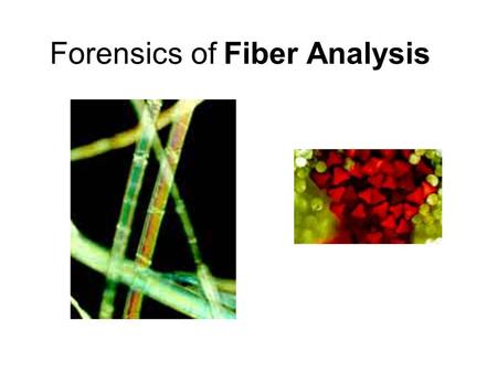 Forensics of Fiber Analysis. Fibers A fiber is the smallest unit of a textile material that has a length many times greater than its diameter. Fibers.