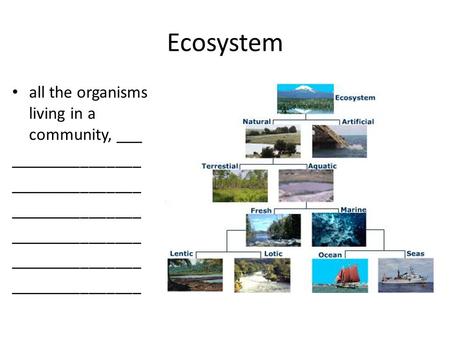 Ecosystem all the organisms living in a community, ___ _______________.