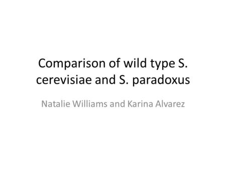 Comparison of wild type S. cerevisiae and S. paradoxus Natalie Williams and Karina Alvarez.