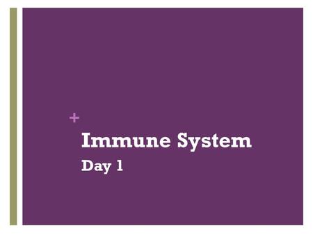 Immune System Day 1.