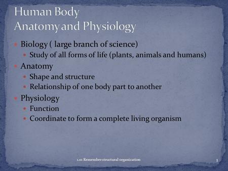 Biology ( large branch of science) Study of all forms of life (plants, animals and humans) Anatomy Shape and structure Relationship of one body part to.