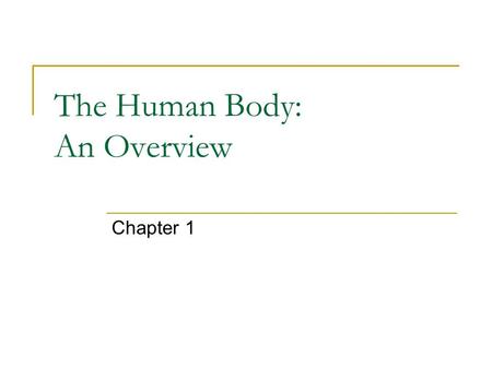 The Human Body: An Overview Chapter 1. An Overview… Anatomy – the study of the structure and shape of the body and body parts and their relationship with.