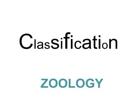 ClassificationClassification ZOOLOGY. The “father of modern taxonomy” was Carolus Linnaeus 1707-1778 The “father of modern taxonomy” was Carolus Linnaeus.