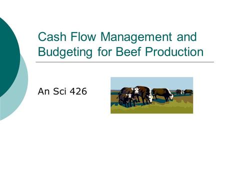 Cash Flow Management and Budgeting for Beef Production An Sci 426.