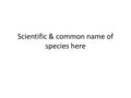 Scientific & common name of species here. State Type of Reproduction animal usually uses here Explain type of reproduction and include specific subtypes.