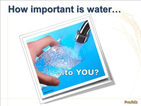 Flicker.com How important is water… aavaascom. WATER MANAGEMENT Key Check 6: Avoided excessive water or drought stress that could affect the growth &