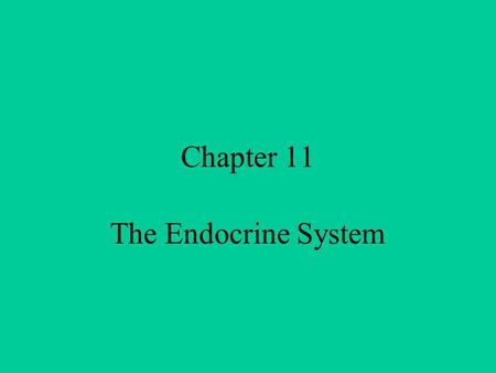 Chapter 11 The Endocrine System Endocrine vs. Exocrine Exocrine – have ducts (tubes) Endocrine - ductless Secreted directly into body fluids Regulated.