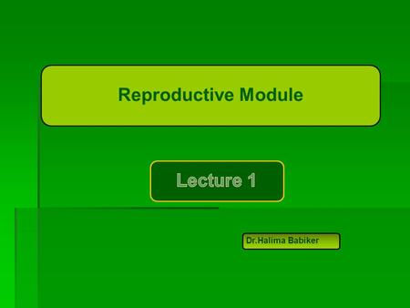 Reproductive Module Dr.Halima Babiker. Overview of Steroid Hormones  Steroid hormones: produced in the adrenal cortex, testis, ovary, and some peripheral.