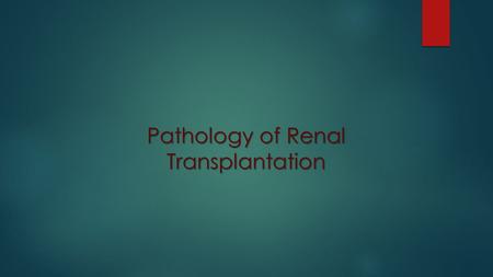 Pathology of Renal Transplantation