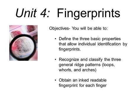 Unit 4: Fingerprints Objectives- You will be able to: Define the three basic properties that allow individual identification by fingerprints. Recognize.