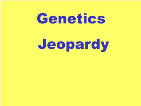Genetics Jeopardy Honors Basic Terms 100 300 200 400 500 100 300 200 400 500 100 300 200 400 500 100 300 200 400 500 100 300 200 400 500 Punnett Squares.