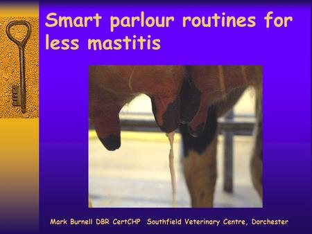 Smart parlour routines for less mastitis