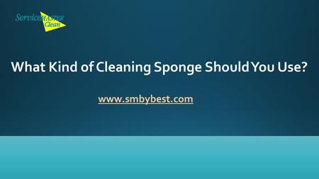 What Kind of Cleaning Sponge Should You Use? www.smbybest.com.