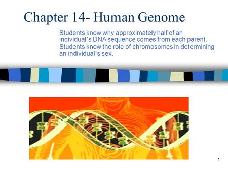 1 Chapter 14- Human Genome Students know why approximately half of an individual ’ s DNA sequence comes from each parent. Students know the role of chromosomes.