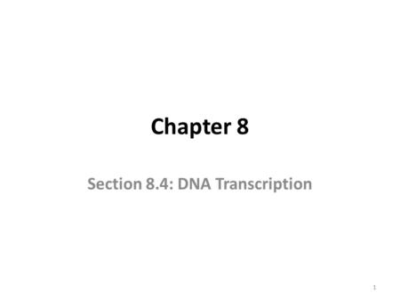 Chapter 8 Section 8.4: DNA Transcription 1. Objectives SWBAT describe the relationship between RNA and DNA. SWBAT identify the three kinds of RNA and.