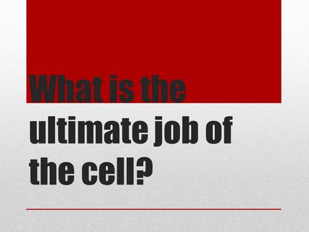 What is the ultimate job of the cell?. TO MAKE PROTEINS!