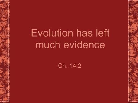 Evolution has left much evidence Ch. 14.2. The Fossil Record We use the past to help gather information about our present FOSSILS  –Found in _________.