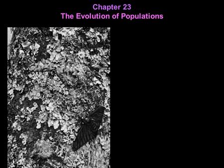 Chapter 23 The Evolution of Populations. Modern evolutionary theory is a synthesis of Darwinian selection and Mendelian inheritance Evolution happens.