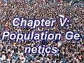 1. 2 Genetic structure of a population & Allele and genotype frequencies Lecture 4.