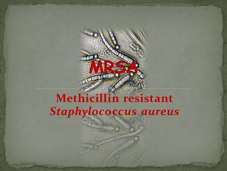Methicillin resistant Staphylococcus aureus. There are 2 types of MRSA: Community-acquired MRSA (CA-MRSA) This is passed throughout a community. You hear.