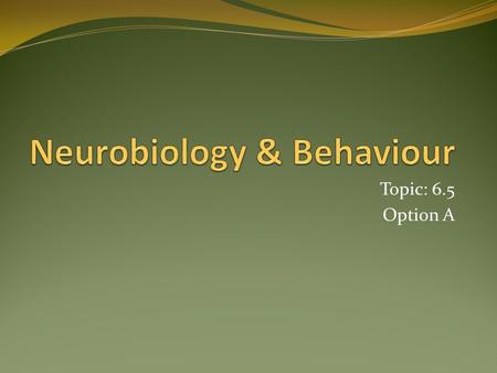 Topic: 6.5 Option A. Nerve Signals Maintain Homeostasis Both the nervous system and the endocrine system control actions of the body and maintain homeostasis.