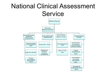 National Clinical Assessment Service Medical Director Associate Director (Business Development) Business support and development team Legal services team.